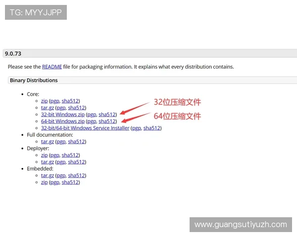 B体育登录常见问题及解决方案，确保你无忧畅玩每一场体育赛事